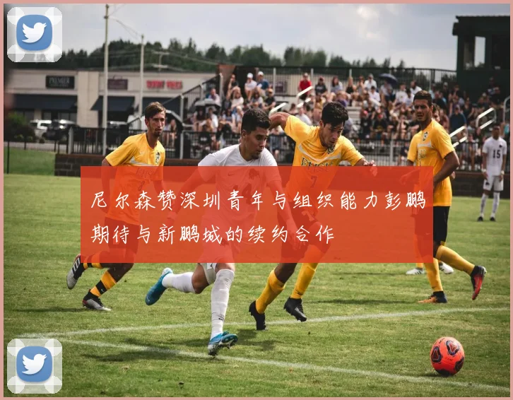 尼尔森赞深圳青年与组织能力彭鹏期待与新鹏城的续约合作